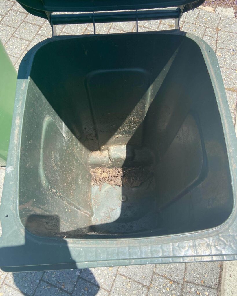 Green colored open dustbin with a little soil inside ready to use for trash in Bin Cleaning Perth
